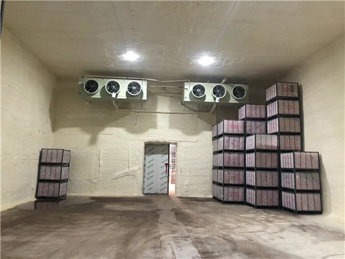 完美（中国）官方苹果冷库安装案例